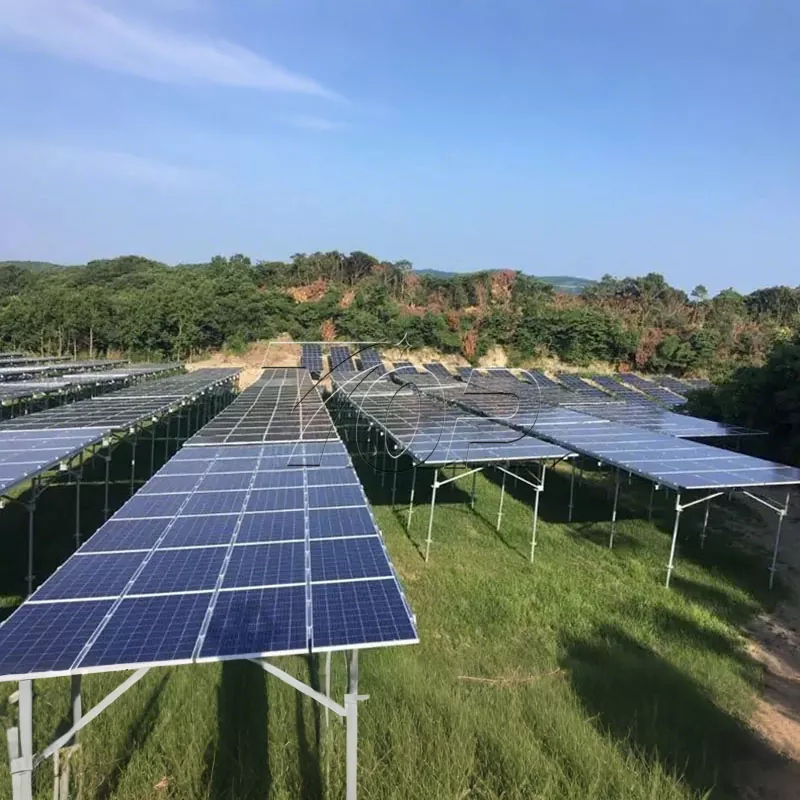 Pv फार्म